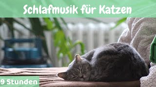 21  9 Stunden 🐱Schlafmusik für Katzen 🐱Entspannende Musik für Katzen und Kätzchen 🐱 [upl. by Rivy]