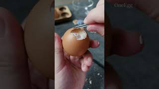 004 ASMR  Peel a Raw Egg shorts egg funny [upl. by Compton]