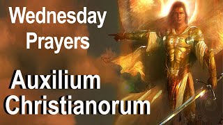 Auxilium Christianorum  Wednesday Deliverance Prayers for Use by the Laity Fr Chad Ripperger Video [upl. by Mikkel344]