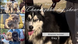 Chandigarh Dog Show Day 2 Part 2 2024😍 ਚੰਡੀਗੜ੍ਹ ਡੌਗ ਸ਼ੋਅ ਡੇ 2 ਭਾਗ चंडीगढ़ डॉग शो दिन 2 भाग [upl. by Mcculloch]