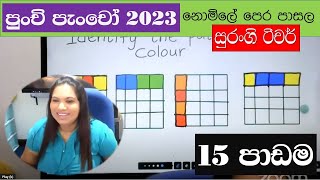 Punchi Pancho Lesson 15  Surangi Teacher  Brain Development Activities  Nomile Pera Pasala [upl. by Erb217]