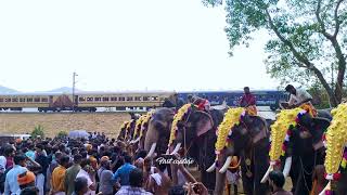 ഉത്രാളികാവിൽ ആനയും തീവണ്ടിയും  Uthralikavu Pooram 2024 [upl. by Ecinej]