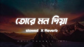 Tore Mon Diya  Slowed x Reverb  তোরে মন দিয়া Protikkhar Prohor  🖤🤍AbirHossainJisan [upl. by Marrissa]