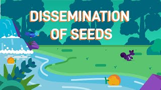 How Plants Disperse Their Seeds [upl. by Zarah991]