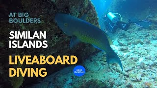 SIMILAN ISLANDS THAILAND LIVEABOARD DIVING IN NORTH ANDAMAN SEA [upl. by Thebault]