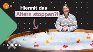 Fasten amp Eisbaden Mit Biohacking das Altern stoppen  Terra Xplore mit Biologin Jasmina Neudecker [upl. by Barden]