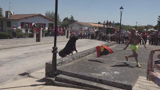 San Felices de los Gallegos 2024 Encierro y toros de cajon [upl. by Ystap]