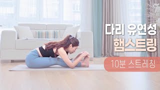 10분만에 다리 유연성 늘리는 스트레칭  햄스트링 스트레칭 좌전굴 늘리기 [upl. by Beall]