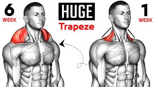 17 BEST EXERCISE TRAPS WORKOUT 🔥 [upl. by Terri678]