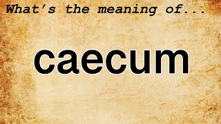 Caecum Meaning  Definition of Caecum [upl. by Raouf]