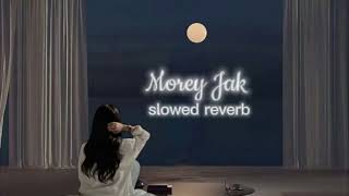 Morey Jak slowed reverb Pritom hasan [upl. by Carnahan]