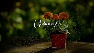 Kannama unnna  tamil whatsapp status  ispadrajavum idhayaraniyum  Anirudh [upl. by Gassman]