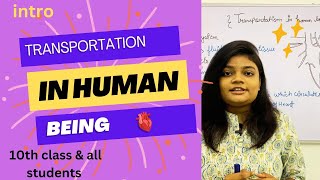 transportation 🫀 in human being  next terms transportation in plant  Learnwithtaarishi [upl. by Ecart258]