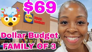 SHOPPING WITH FOODSTAMPS  LIDI CHEAPEST SUPERMARKET WEEK GROCERY HAUL [upl. by Ytoc651]