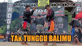 Tak Tunggu Balimu  Lery ft Gea Ayu  Lagu Jaranan ROGO SAMBOYO PUTRO [upl. by Corey]