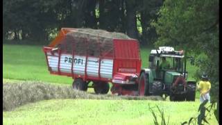 Urlaub auf dem Bauernhof Ein Erlebnistag auf dem Schorer Hof [upl. by Lorac]