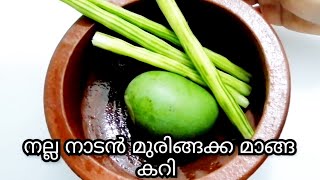 മുരിങ്ങക്ക മാങ്ങ കറി  muringakka manga curry kerala style  drumstick mango curry kerala style [upl. by Nrol84]