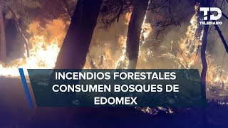 Se disparan incendios en el Valle de México suman casi 600 hectáreas afectadas [upl. by Adlare]