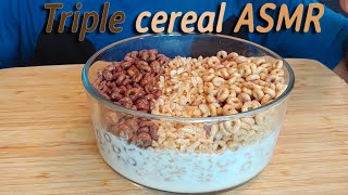 TRIPLE CEREAL CRUNCHY ASMR EATING SHOW  CHOCOLATE CINNAMON AND APPLE BREAKFAST MUKBANG [upl. by Rosina]