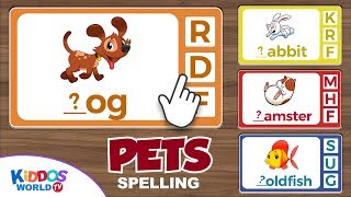 Guess the first letter of Pets names [upl. by Merrick511]