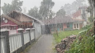 The beauty of my village when it rains heavily feel sound sleep with the sound of rain [upl. by Eelik]