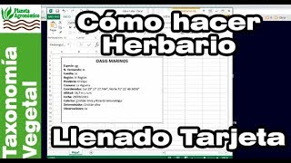 Cómo hacer un HERBARIO 🍃🍀  55  Llenado de TARJETA 📝 de IDENTIFICACIÓN de planta y muestra [upl. by Odelet]