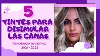 ★5 TINTES EN TENDENCIA PARA INVIERNO🍂 CON LOS QUE PODRÁS DISIMULAR LAS CANAS Y LUCIR ESPECTACULAR★ [upl. by Marzi68]