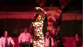 Flamenco Dance Seville Spain [upl. by Pitt]