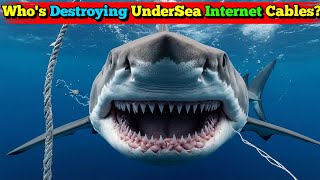 EXPOSED The Shocking Truth Behind Undersea Internet Cable Sabotage [upl. by Artaed]