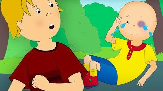 Caillou and the Bully  Caillou  Cartoons for Kids  WildBrain Little Jobs [upl. by Reivazx483]