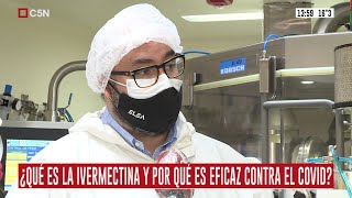 Ivermectina la droga antiparasitaria que reduce la carga viral en pacientes con Covid19 [upl. by Ziza]