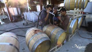 Vine to Wine Winemaking at Naggiar Vineyards [upl. by Annaliese]