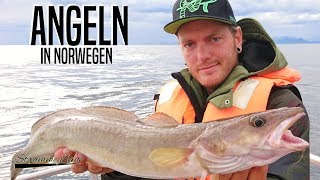 Angeln in Norwegen  Auf Dorsch Seelachs Makrele und Co Teil 1 [upl. by Regnij]