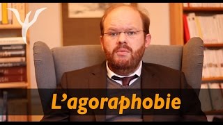 Agoraphobie les questions et surtout les réponses pour tous les agoraphobes [upl. by Perceval]