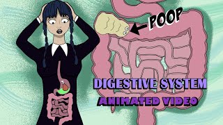 Wednesdays Digestive System  Poop Story  Digestion System Animated [upl. by Eloci407]