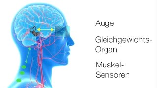 Wirksame Schwindeltherapie [upl. by Jourdan]