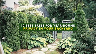 10 Best Trees for YearRound Privacy in Your Backyard🌲🏠🌳 [upl. by Suravat]