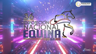 Transmisión en Vivo 36 Exposición Nacional Equina 2020 [upl. by Arihas861]