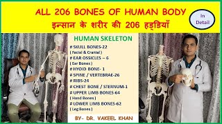 ALL 206 BONES OF HUMAN BODY  इन्सान के शरीर की सभी 206 हड्डियाँ  HUMAN SKELETON IN HINDI anatomy [upl. by Aserej]