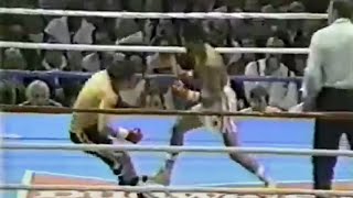 DESTROYED UNDEFEATED BOXER  Humberto Gonzalez vs Rolando Pascua  KO Full Highlight [upl. by Alyehc]