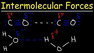 Intermolecular Forces  Hydrogen Bonding Dipole Dipole Interactions  Boiling Point amp Solubility [upl. by Nyleda]