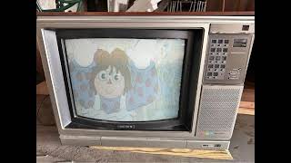 Raggedy Ann amp Andy A Musical Adventure 1982 VHS on a Sony Trinitron TV [upl. by Luwana]