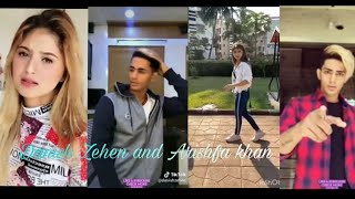 Danish Zehen and Arishfa khan tik tok video Attitude Romentic and Love video  Miss you bro [upl. by Llehcnom]