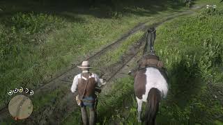 How To Get Micah’s Hat  Red Dead Redemption 2 [upl. by Aileve]