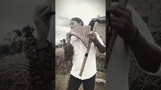 Gülümcan  Panflute  Quenacho  Relax Music by Raimy Salazar Vertical Video [upl. by Nissa]