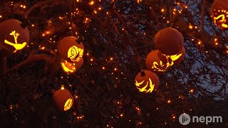 The Incredible Naumkeag Pumpkin Show  Connecting Point  Oct 29 2021 [upl. by Amerd195]