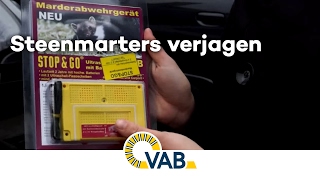 De vraag van Joni wat kan ik doen tegen steenmarters in de wagen [upl. by Finnie205]