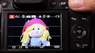 AE and AF lock AFF AFS and AFC focus styles on Panasonic Lumix Cameras Explained [upl. by Arimahs]