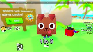 👀 new game by big games™® pet rng Pets go Roblox [upl. by Jahdol]