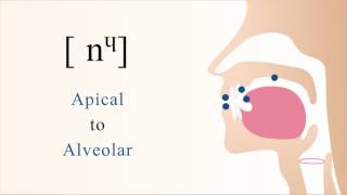 nᶣ  unvoiced palatalized labialized apical alveolar nasal stop [upl. by Halsy753]